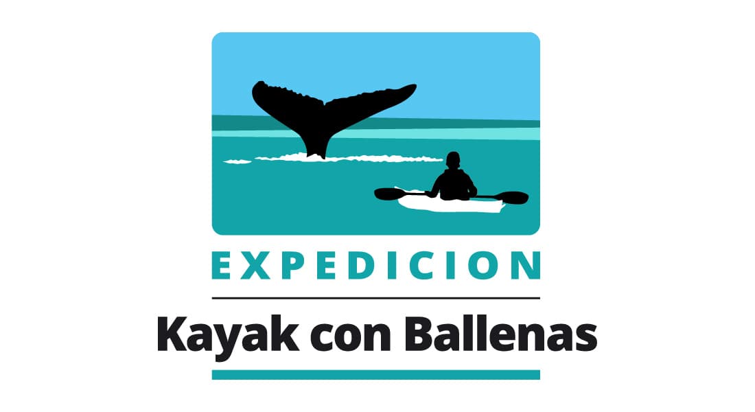 Expedición Kayak & Ballenas Península de Valdés